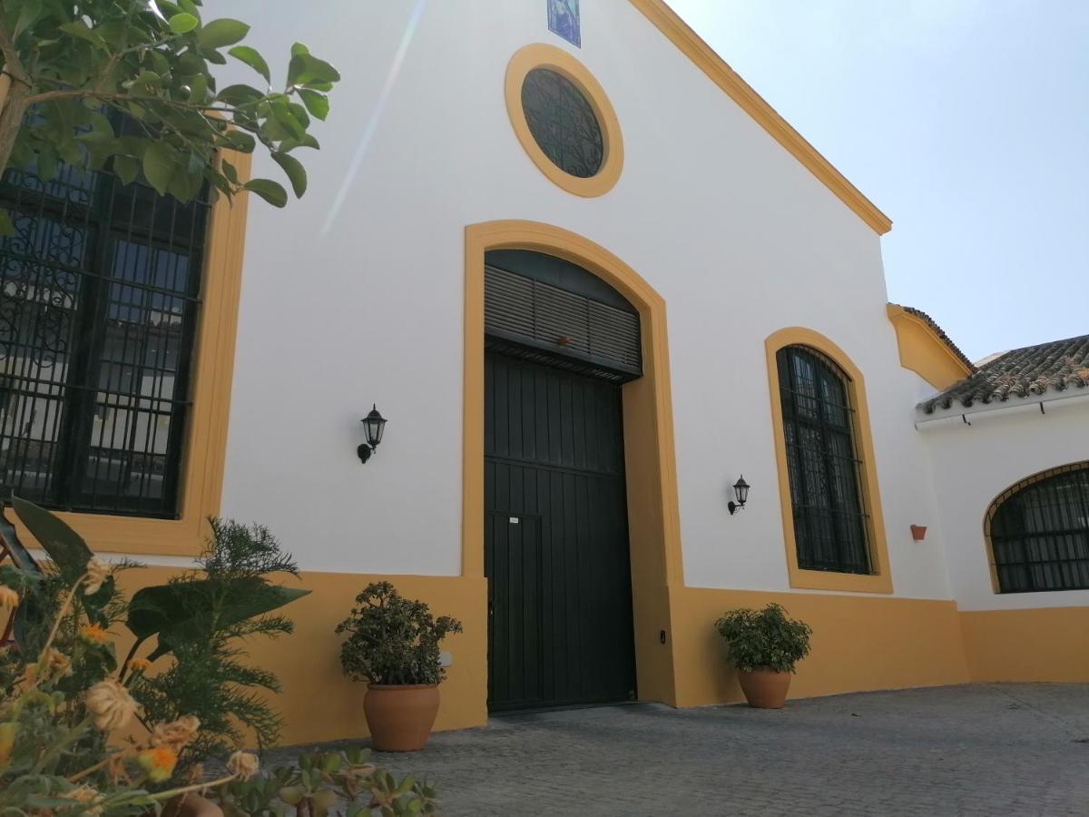 Apartamento Entre Bodegas Jerez Jerez de la Frontera Exterior foto